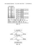 ANTIGEN PRESENTING CELL TARGETED ANTI-VIRAL VACCINES diagram and image