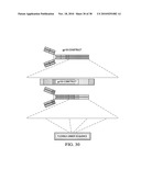 ANTIGEN PRESENTING CELL TARGETED ANTI-VIRAL VACCINES diagram and image