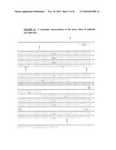 ANTIBODIES TO OX-2/CD200 AND USES THEREOF IN INHIBITING IMMUNE RESPONSES diagram and image