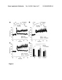 Prion Protein as a Receptor for Amyloid-Beta Oligomers diagram and image