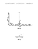 ANTIBODY-MEDIATED DISRUPTION OF QUORUM SENSING IN BACTERIA diagram and image