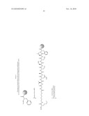 ANTIBODY-MEDIATED DISRUPTION OF QUORUM SENSING IN BACTERIA diagram and image