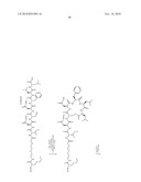 ANTIBODY-MEDIATED DISRUPTION OF QUORUM SENSING IN BACTERIA diagram and image