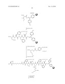 ANTIBODY-MEDIATED DISRUPTION OF QUORUM SENSING IN BACTERIA diagram and image