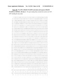 NUCLEIC ACID ENCODING 238P1B2 USEFUL IN DETECTING CANCER diagram and image