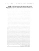 NUCLEIC ACID ENCODING 238P1B2 USEFUL IN DETECTING CANCER diagram and image