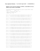 NUCLEIC ACID ENCODING 238P1B2 USEFUL IN DETECTING CANCER diagram and image