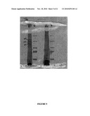 Compositions And Methods For Screening And Using Compounds Antagonizing Spore-Surface Interactions diagram and image