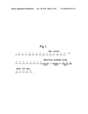 POLYPEPTIDES, ANTIBODY VARIABLE DOMAINS AND ANTAGONISTS diagram and image