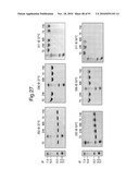 POLYPEPTIDES, ANTIBODY VARIABLE DOMAINS AND ANTAGONISTS diagram and image