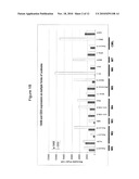 ANTIBODIES TO IREM-1 diagram and image