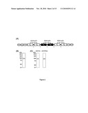 Recombinant, Single-Chain, Trivalent Tri-Specific or Bi-Specific Antibody Derivatives diagram and image