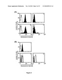 Recombinant, Single-Chain, Trivalent Tri-Specific or Bi-Specific Antibody Derivatives diagram and image