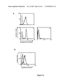 Recombinant, Single-Chain, Trivalent Tri-Specific or Bi-Specific Antibody Derivatives diagram and image