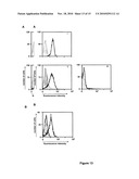 Recombinant, Single-Chain, Trivalent Tri-Specific or Bi-Specific Antibody Derivatives diagram and image