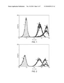 Treatment of Proliferative Disorders Using Antibodies to PSMA diagram and image