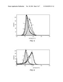 Treatment of Proliferative Disorders Using Antibodies to PSMA diagram and image