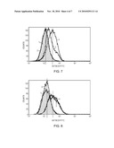 Treatment of Proliferative Disorders Using Antibodies to PSMA diagram and image