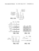 Crystal structures and methods using same diagram and image