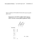 Tumour-Specific Animal Proteins diagram and image