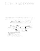 Tumour-Specific Animal Proteins diagram and image