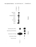 Extracellular serine protease diagram and image