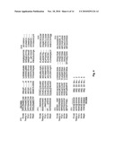 Extracellular serine protease diagram and image