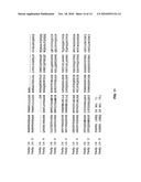 Extracellular serine protease diagram and image