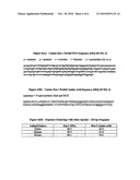 ETA-1 GENE AND METHODS FOR USE diagram and image