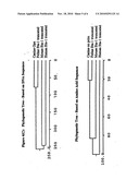 ETA-1 GENE AND METHODS FOR USE diagram and image