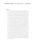 PROTEIN SHOWING ENHANCED EXPRESSION IN CANCER CELLS diagram and image