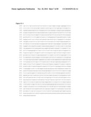 PROTEIN SHOWING ENHANCED EXPRESSION IN CANCER CELLS diagram and image