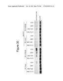 PROTEIN SHOWING ENHANCED EXPRESSION IN CANCER CELLS diagram and image