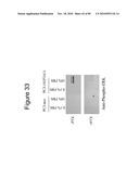 PROTEIN SHOWING ENHANCED EXPRESSION IN CANCER CELLS diagram and image