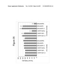 PROTEIN SHOWING ENHANCED EXPRESSION IN CANCER CELLS diagram and image