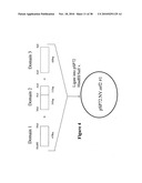 Norovirus and sapovirus antigens diagram and image