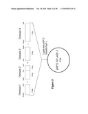 Norovirus and sapovirus antigens diagram and image