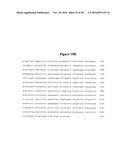 Norovirus and sapovirus antigens diagram and image