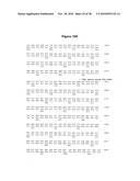 Norovirus and sapovirus antigens diagram and image