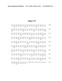 Norovirus and sapovirus antigens diagram and image