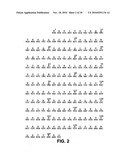 TRUNCATED HEPATITIS C VIRUS NS5 DOMAIN AND FUSION PROTEINS COMPRISING SAME diagram and image