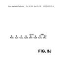 TRUNCATED HEPATITIS C VIRUS NS5 DOMAIN AND FUSION PROTEINS COMPRISING SAME diagram and image