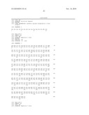 TRUNCATED HEPATITIS C VIRUS NS5 DOMAIN AND FUSION PROTEINS COMPRISING SAME diagram and image