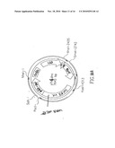 ANTIBIOTIC RESISTANCE FREE LISTERIA STRAINS AND METHODS FOR CONSTRUCTING AND USING SAME diagram and image