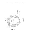 ANTIBIOTIC RESISTANCE FREE LISTERIA STRAINS AND METHODS FOR CONSTRUCTING AND USING SAME diagram and image