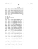 Bacterial Artificial Chromosome Containing Feline Herpes Virus Type 1 Genome and Uses Thereof diagram and image