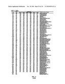 Bacterial Artificial Chromosome Containing Feline Herpes Virus Type 1 Genome and Uses Thereof diagram and image