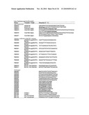 Bacterial Artificial Chromosome Containing Feline Herpes Virus Type 1 Genome and Uses Thereof diagram and image