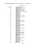 Bacterial Artificial Chromosome Containing Feline Herpes Virus Type 1 Genome and Uses Thereof diagram and image