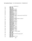 Bacterial Artificial Chromosome Containing Feline Herpes Virus Type 1 Genome and Uses Thereof diagram and image